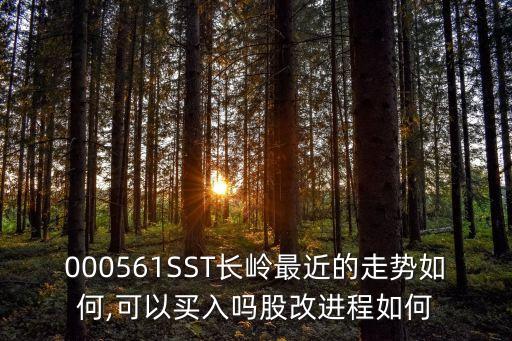 000561SST長(zhǎng)嶺最近的走勢(shì)如何,可以買入嗎股改進(jìn)程如何