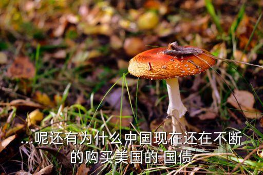 ...呢還有為什么中國現(xiàn)在還在不斷的購買美國的 國債