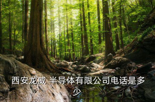  西安龍威 半導(dǎo)體有限公司電話是多少