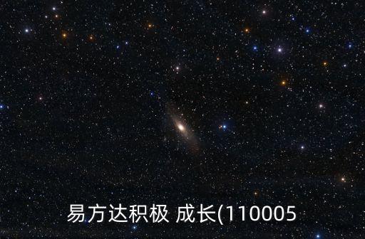 易方達(dá)積極 成長(zhǎng)(110005