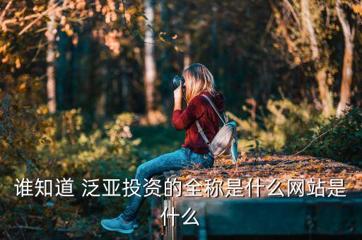 誰(shuí)知道 泛亞投資的全稱是什么網(wǎng)站是什么