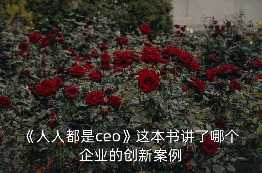 《人人都是ceo》這本書講了哪個(gè) 企業(yè)的創(chuàng)新案例