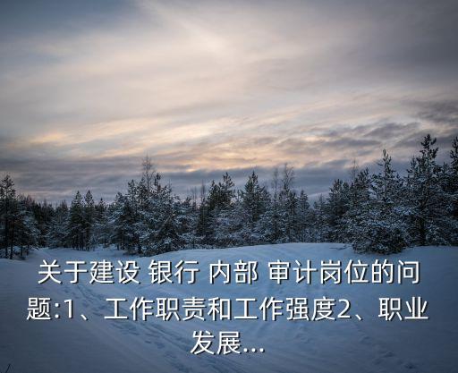 關于建設 銀行 內部 審計崗位的問題:1、工作職責和工作強度2、職業(yè)發(fā)展...