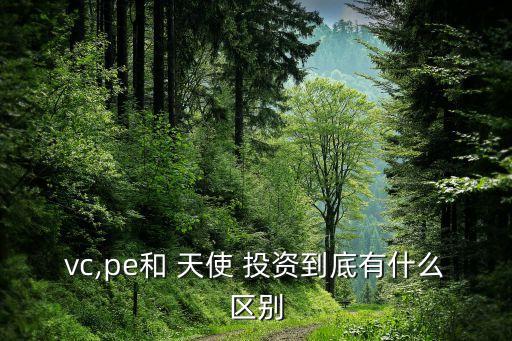 vc,pe和 天使 投資到底有什么區(qū)別