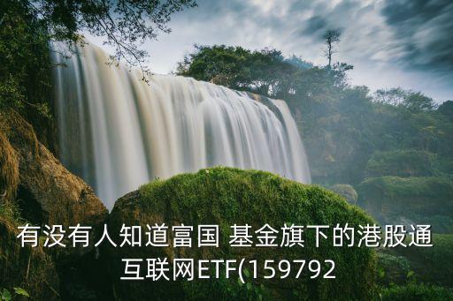 有沒有人知道富國 基金旗下的港股通 互聯(lián)網(wǎng)ETF(159792