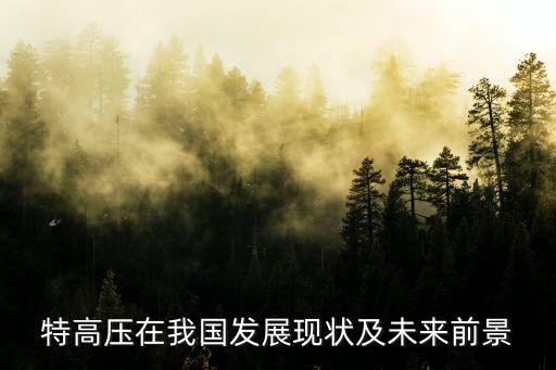 特高壓在我國發(fā)展現狀及未來前景