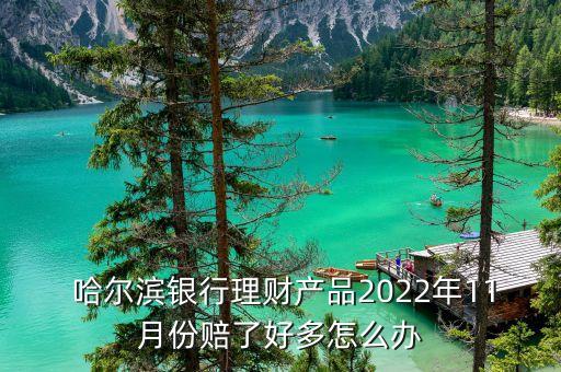  哈爾濱銀行理財(cái)產(chǎn)品2022年11月份賠了好多怎么辦