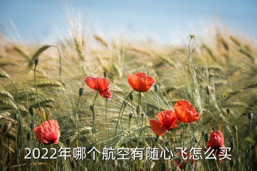 2022年哪個(gè)航空有隨心飛怎么買