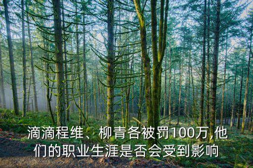  滴滴程維、柳青各被罰100萬(wàn),他們的職業(yè)生涯是否會(huì)受到影響