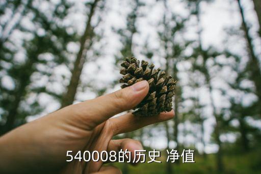 540008的歷史 凈值