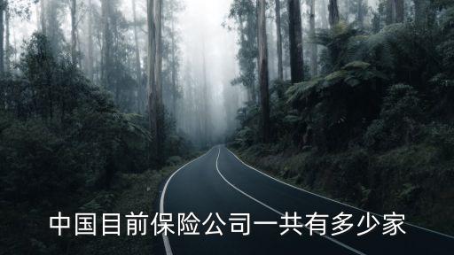 中國目前保險(xiǎn)公司一共有多少家