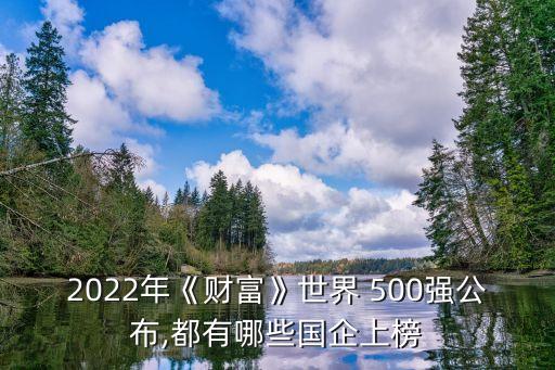 2022年《財(cái)富》世界 500強(qiáng)公布,都有哪些國企上榜