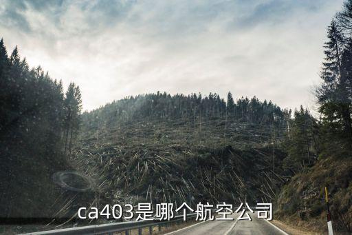 ca403是哪個(gè)航空公司