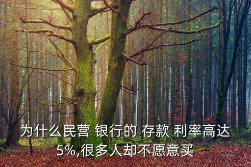 為什么民營 銀行的 存款 利率高達(dá)5%,很多人卻不愿意買