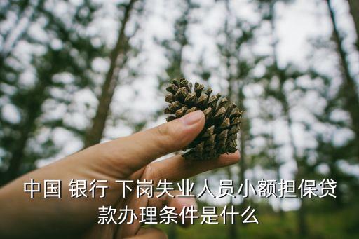 中國(guó) 銀行 下崗失業(yè)人員小額擔(dān)保貸款辦理?xiàng)l件是什么