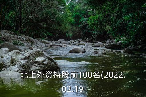 北上外資持股前100名(2022.02.19