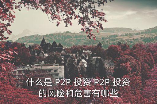 什么是 P2P 投資 P2P 投資的風險和危害有哪些