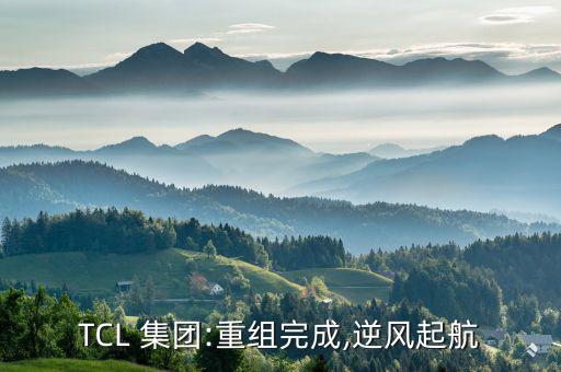 TCL 集團:重組完成,逆風起航