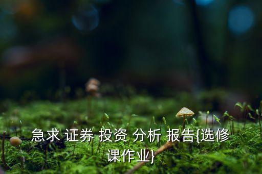 急求 證券 投資 分析 報告{選修課作業(yè)}