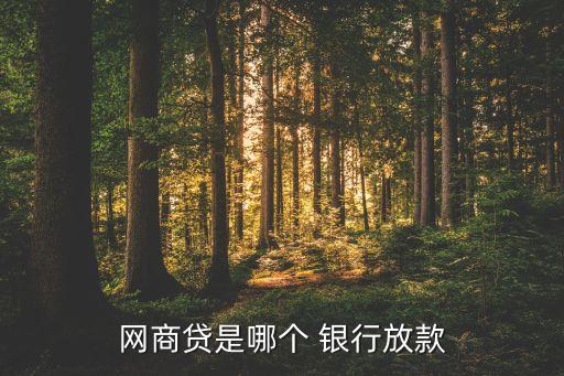 網(wǎng)商貸是哪個 銀行放款