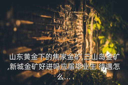  山東黃金下的焦家金礦,三山島金礦,新城金礦好進嗎應屆畢業(yè)生 待遇怎么...