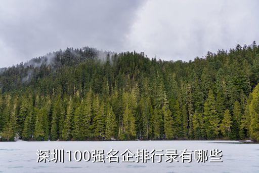 深圳100強名企排行錄有哪些