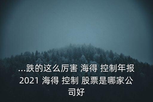 ...跌的這么厲害 海得 控制年報(bào)2021 海得 控制 股票是哪家公司好