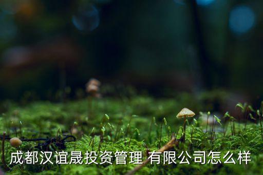 成都漢誼晟投資管理 有限公司怎么樣