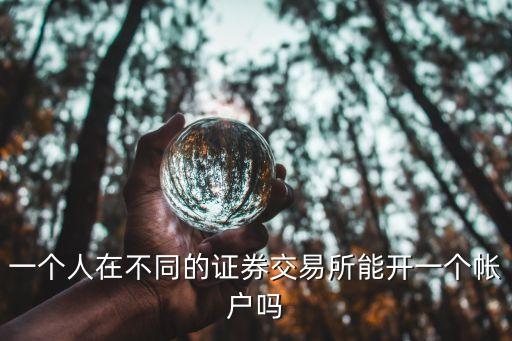 一個(gè)人在不同的證券交易所能開(kāi)一個(gè)帳戶(hù)嗎