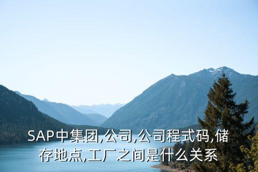 SAP中集團,公司,公司程式碼,儲存地點,工廠之間是什么關(guān)系