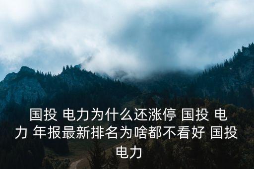 國投電力控股股份有限公司年報,國投集團(tuán)國投電力控股股份有限公司