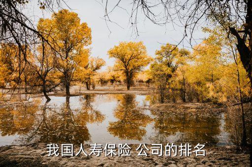 我國人壽保險(xiǎn) 公司的排名