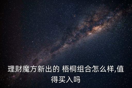 理財魔方新出的 梧桐組合怎么樣,值得買入嗎