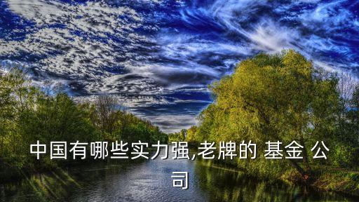 中國(guó)有哪些實(shí)力強(qiáng),老牌的 基金 公司