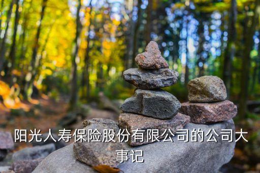  陽(yáng)光人壽保險(xiǎn)股份有限公司的公司大事記