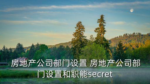  房地產(chǎn)公司部門設置 房地產(chǎn)公司部門設置和職能secret