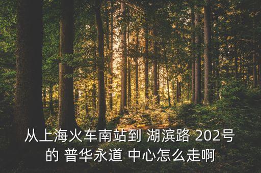 從上?；疖嚹险镜?湖濱路 202號的 普華永道 中心怎么走啊