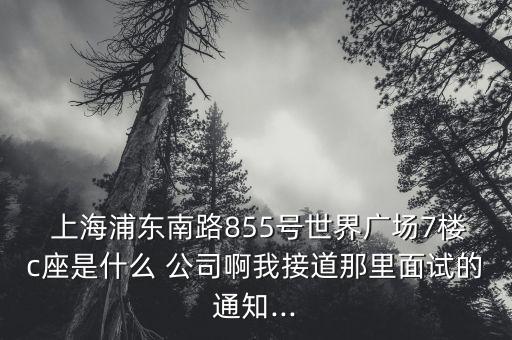  上海浦東南路855號世界廣場7樓c座是什么 公司啊我接道那里面試的通知...