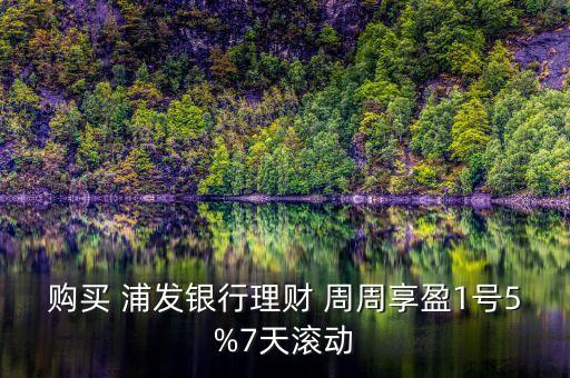 購(gòu)買 浦發(fā)銀行理財(cái) 周周享盈1號(hào)5%7天滾動(dòng)