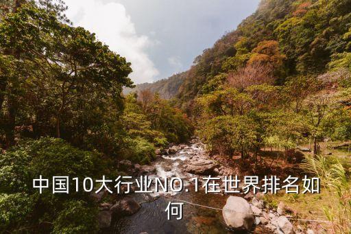 中國10大行業(yè)NO.1在世界排名如何