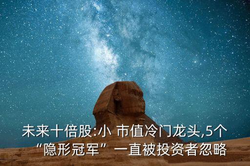 未來(lái)十倍股:小 市值冷門(mén)龍頭,5個(gè)“隱形冠軍”一直被投資者忽略