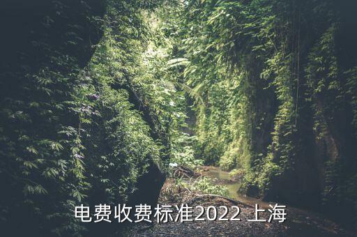  電費(fèi)收費(fèi)標(biāo)準(zhǔn)2022 上海