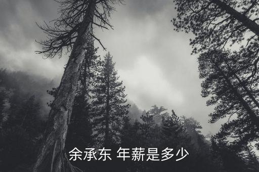 余承東 年薪是多少