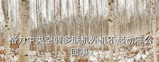 東方世紀(jì)格力電器有限公司,深圳世紀(jì)格力電器有限公司售后