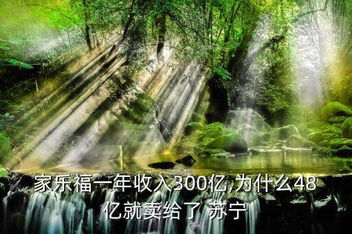 家樂福一年收入300億,為什么48億就賣給了 蘇寧