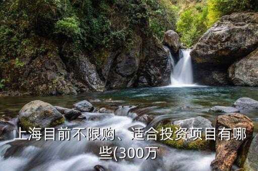  上海目前不限購、適合投資項(xiàng)目有哪些(300萬