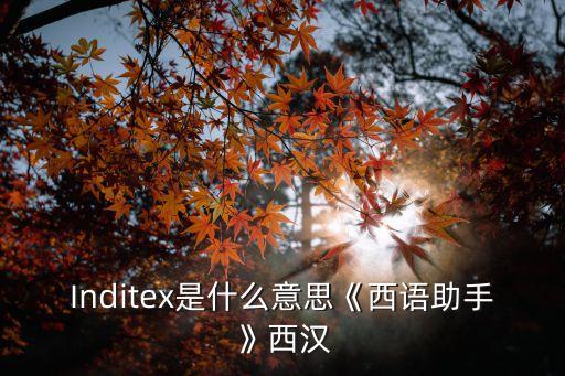 Inditex是什么意思《西語(yǔ)助手》西漢