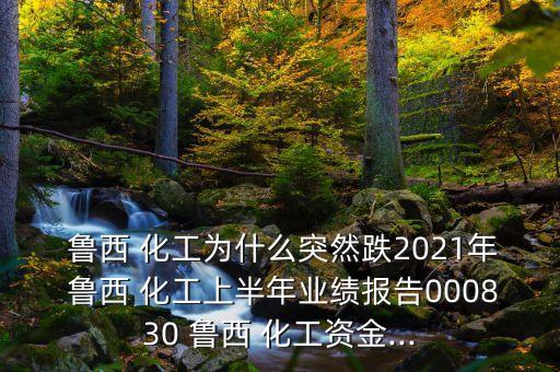  魯西 化工為什么突然跌2021年 魯西 化工上半年業(yè)績報告000830 魯西 化工資金...