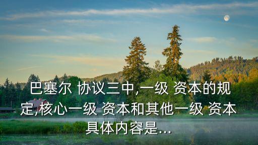  巴塞爾 協(xié)議三中,一級 資本的規(guī)定,核心一級 資本和其他一級 資本具體內(nèi)容是...