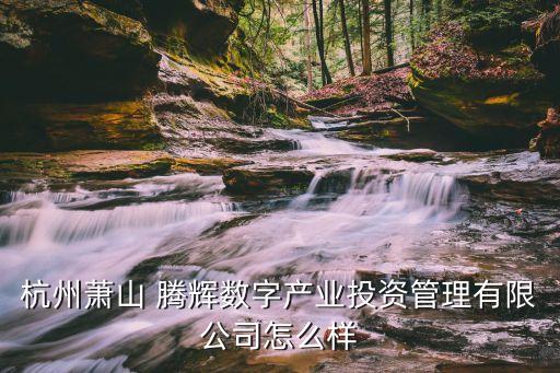 杭州蕭山 騰輝數(shù)字產(chǎn)業(yè)投資管理有限公司怎么樣